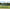 Muhl Tech Varsity 10 x 10 Field Screen